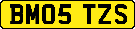 BM05TZS