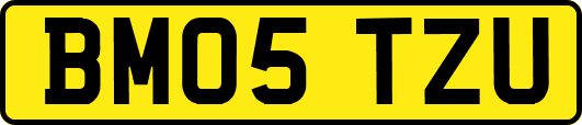 BM05TZU