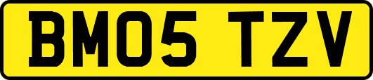 BM05TZV