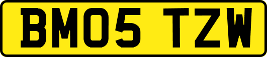 BM05TZW