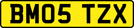 BM05TZX