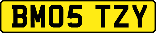 BM05TZY