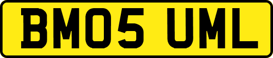 BM05UML
