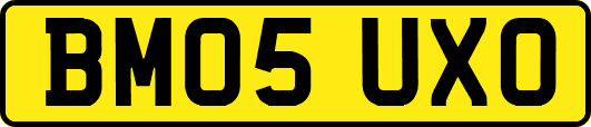 BM05UXO