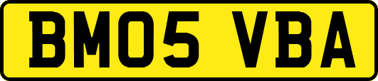BM05VBA