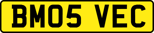 BM05VEC