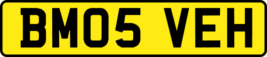 BM05VEH