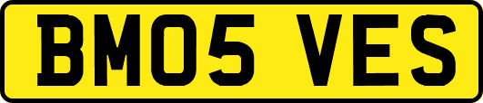 BM05VES
