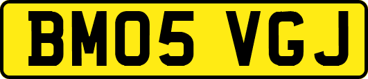 BM05VGJ