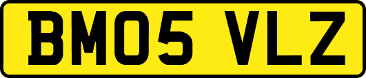 BM05VLZ