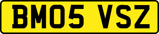BM05VSZ