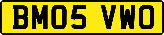 BM05VWO