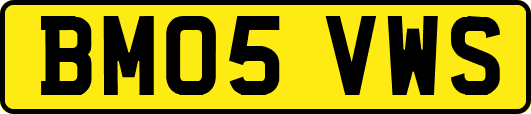 BM05VWS