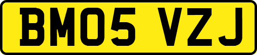 BM05VZJ