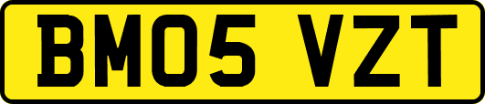BM05VZT