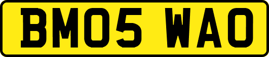 BM05WAO