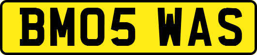 BM05WAS