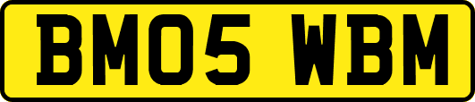 BM05WBM