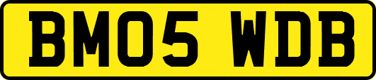 BM05WDB