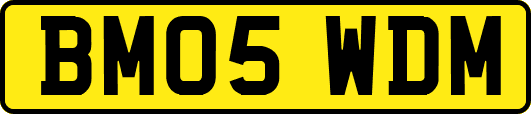 BM05WDM