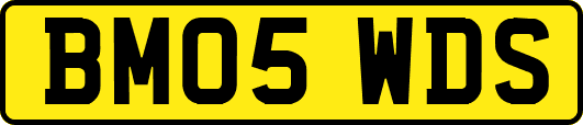 BM05WDS