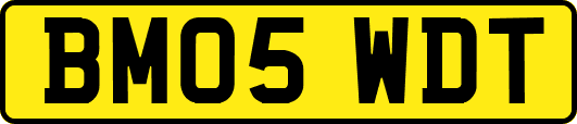 BM05WDT