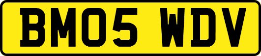 BM05WDV