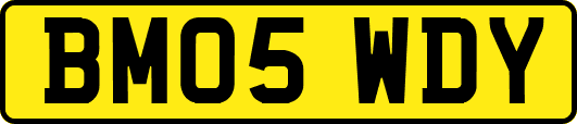 BM05WDY
