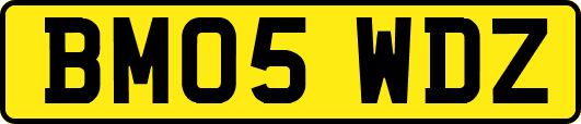 BM05WDZ
