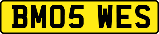 BM05WES