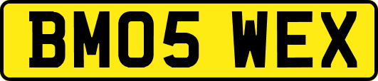 BM05WEX