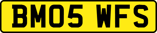 BM05WFS