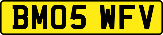 BM05WFV