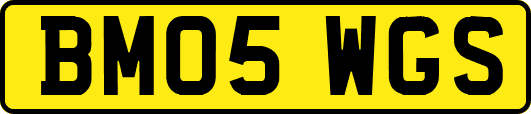 BM05WGS