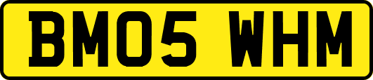 BM05WHM