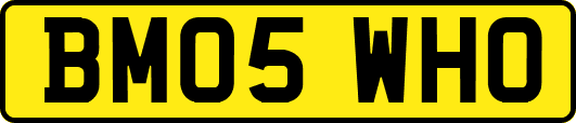 BM05WHO
