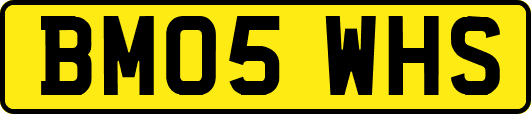 BM05WHS