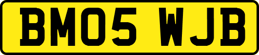 BM05WJB