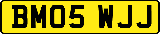 BM05WJJ