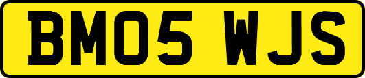 BM05WJS
