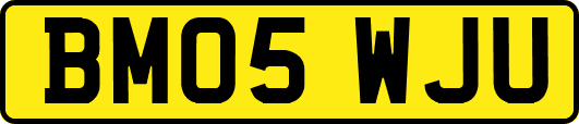 BM05WJU
