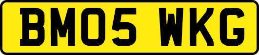 BM05WKG