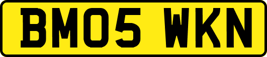 BM05WKN