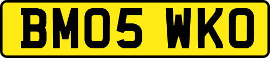 BM05WKO