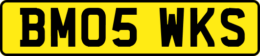 BM05WKS