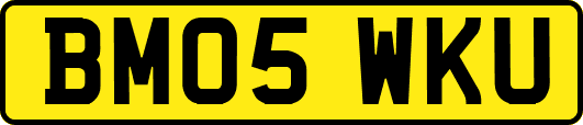 BM05WKU