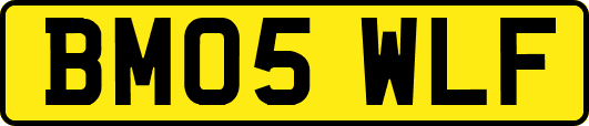 BM05WLF