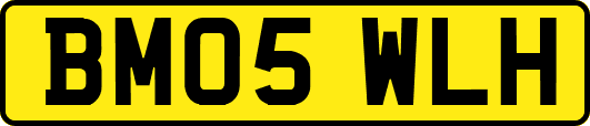 BM05WLH