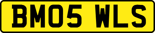 BM05WLS