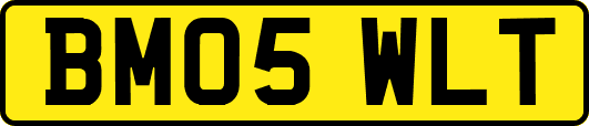 BM05WLT